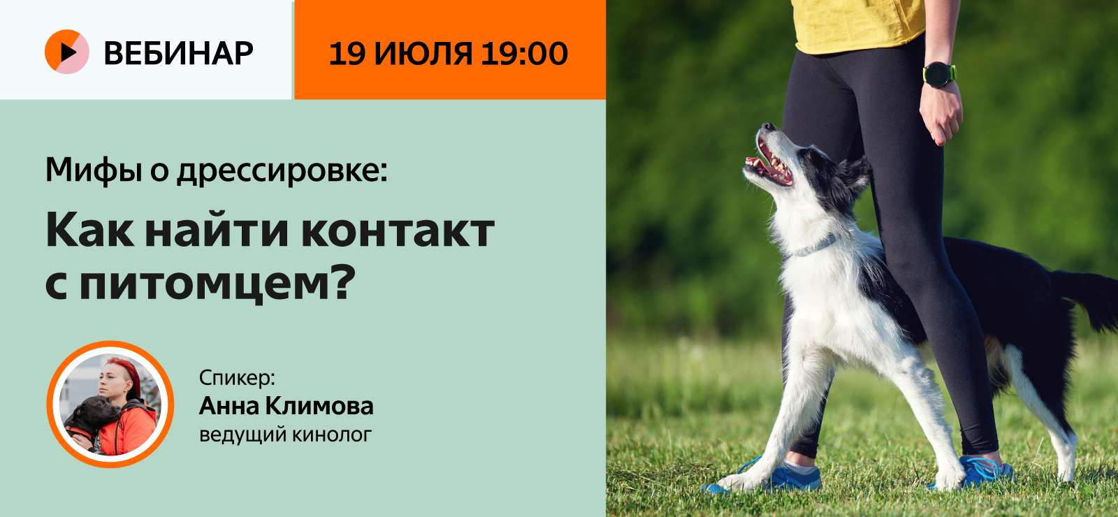 Дрессировка собак тюмень. Как правильно дрессировать собаку. Дрессировка собак логотип.