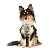 Шлейка S для собак зеленая с цветочком