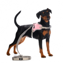 Шлейка-жилетка S для собак розовая + поводок