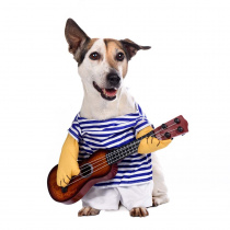 Костюм для собак морячок с гитарой