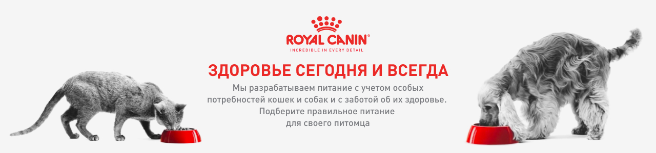 Royal Canin — зоотовары для домашних животных