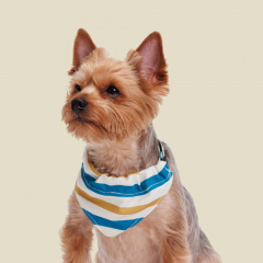 Ошейник-бандана для собак Аквамарин, S, обхват шеи 30-45 см, ширина 1,6 см, песочно-синяя