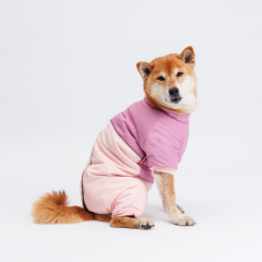 Комбинезон с диагональным замком для собак, 2XL, розовый (девочка)