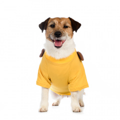 Футболка для собак XS желтый (унисекс)