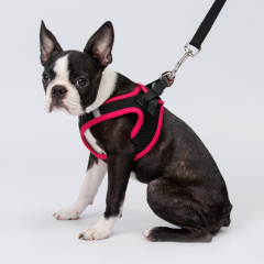 Шлейка-жилетка для собак Air, обхват груди 35-40 см, лента 15 мм, розовая