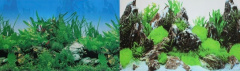Фон для аквариума двусторонний Растительный/Скалы с растениями  30х60см(9003/9028)