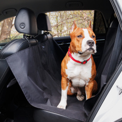Транспортировка в автомобиле для собак