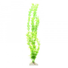 Растение зеленое 40см