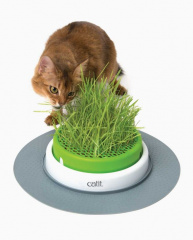 Catit Сад с травкой для кошек