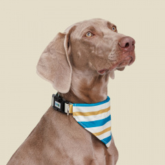 Ошейник-бандана для собак Аквамарин, L, обхват шеи 40-55 см, ширина 2,5 см, песочно-синяя