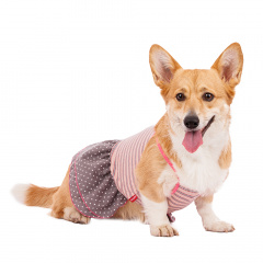 Платье для собак с бантиком XL розовый (девочка)