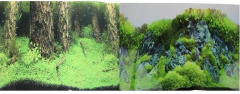 Фон для аквариума двусторонний Затопленный лес/Камни с растениями50х100см (9086/9087)