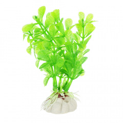 Растение зеленое с листьями 10см