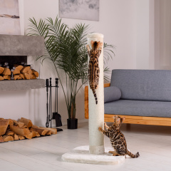 Когтеточка-столбик Коннор (56x56x119 см) с креплением на подставке для кошек, бежевый