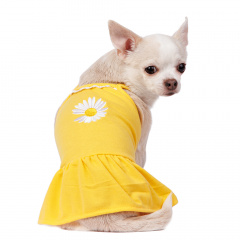 Платье для собак с ромашкой XS желтый (девочка)