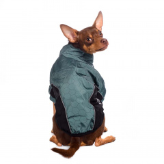Куртка для собак мелких пород зеленая на молнии, 24x36x23 см