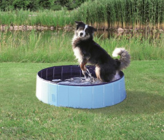 Бассейн для собак, ø 120 х 30 см, голубой/синий
