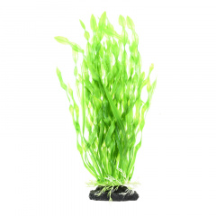 Растение куст зеленое9*5*32см