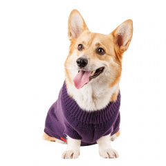 Свитер для собак 55см 4XL фиолетовый (унисекс)
