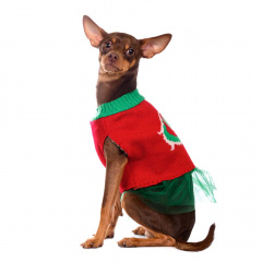 Свитер для собак с пачкой красно-зеленый XS