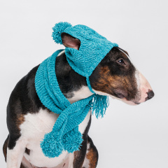 Комплект из шенилла: шарф и шапка для кошек и собак, шапка 18х16 см, шарф 60х8 см, синий