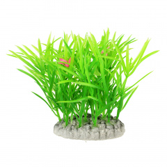 Растение куст зеленое с цветками 8см