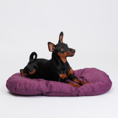 Матрас для собак и кошек, 65х42 см, фиолетовый