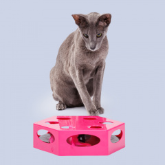 Игрушка интерактивная для кошек Коробка с игрушкой, 22,5х19,8х6 см