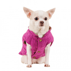 Куртка-жилетка для собак S фиолетовый (унисекс)