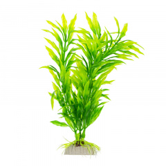Растение с листьями зеленое 20см