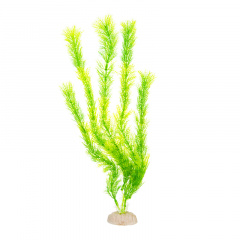 Растение-водоросли зеленое 40см