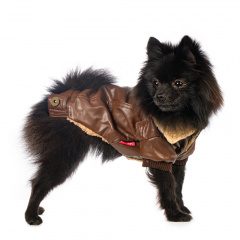 Куртка из кожзама для собак XS коричневый (унисекс)