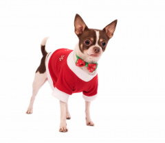 Пуловер для собак Дед Мороз S красный (унисекс)