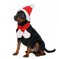 Шапка и шарф светящиеся для собак Led безразмерные красный (унисекс)