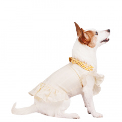 Платье Pure Sun для собак с бантиком белое L