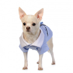 Рубашка с галстуком для собак L голубой (унисекс)