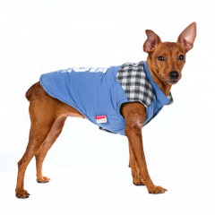Куртка для собак синяя XL