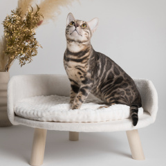 Лежанка-диванчик (55х55 см) на ножках для кошек и собак мелких пород, молочная
