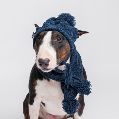 Комплект (шапка и шарф) из шенилла для собак, шапка 18х16 см, шарф 60х8 см, графитовый
