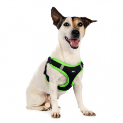 Шлейка S для собак сетчатая зеленая