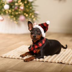 Колпак и шарф новогодний для собак, колпак 26 см, шарф 45 см, красный в клетку