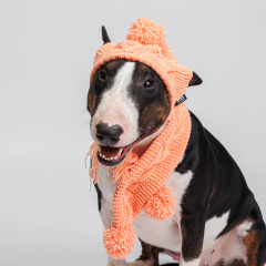Комплект (шапка и шарф) из шенилла для собак, шапка 18х16 см, шарф 60х8 см, персиковый