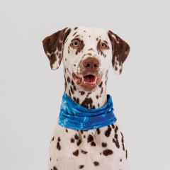 Ошейник-шарф охлаждающий для собак, L, голубой