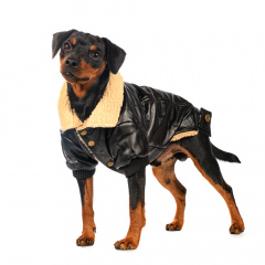 Куртка из кожзама для собак L черный (унисекс)