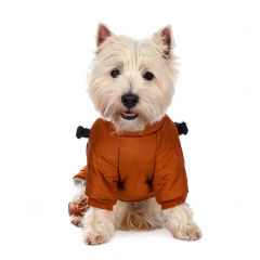 Комбинезон на молнии со шлейкой для собак XS оранжевый (унисекс)