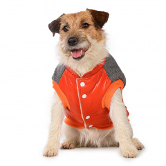 Куртка для собак XS оранжевый (унисекс)
