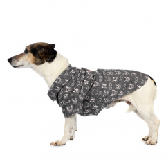 Рубашка для собак XS серый (унисекс)