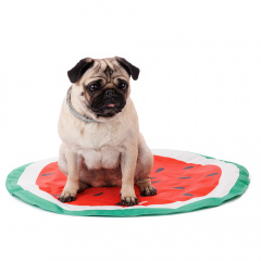 Мат охлаждающий пластиковый Watermelon для кошек и собак мелких и средних пород, 60 см, красный