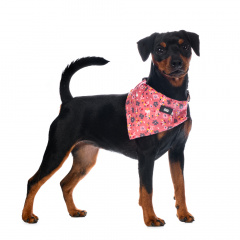 Ошейник-Бандана для собак средних пород розовая в цветочек 26-42х1,5 см