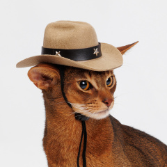 Шляпа ковбойская со звездой для собак и кошек, 14х10,5х5 см
